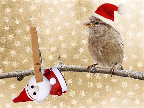 pixabay bilder kostenlos weihnachten